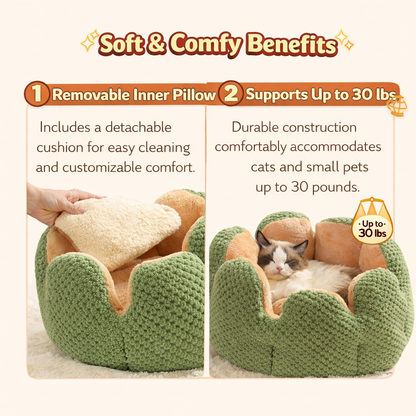 Cactus Bed