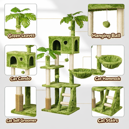 Tropical Tree