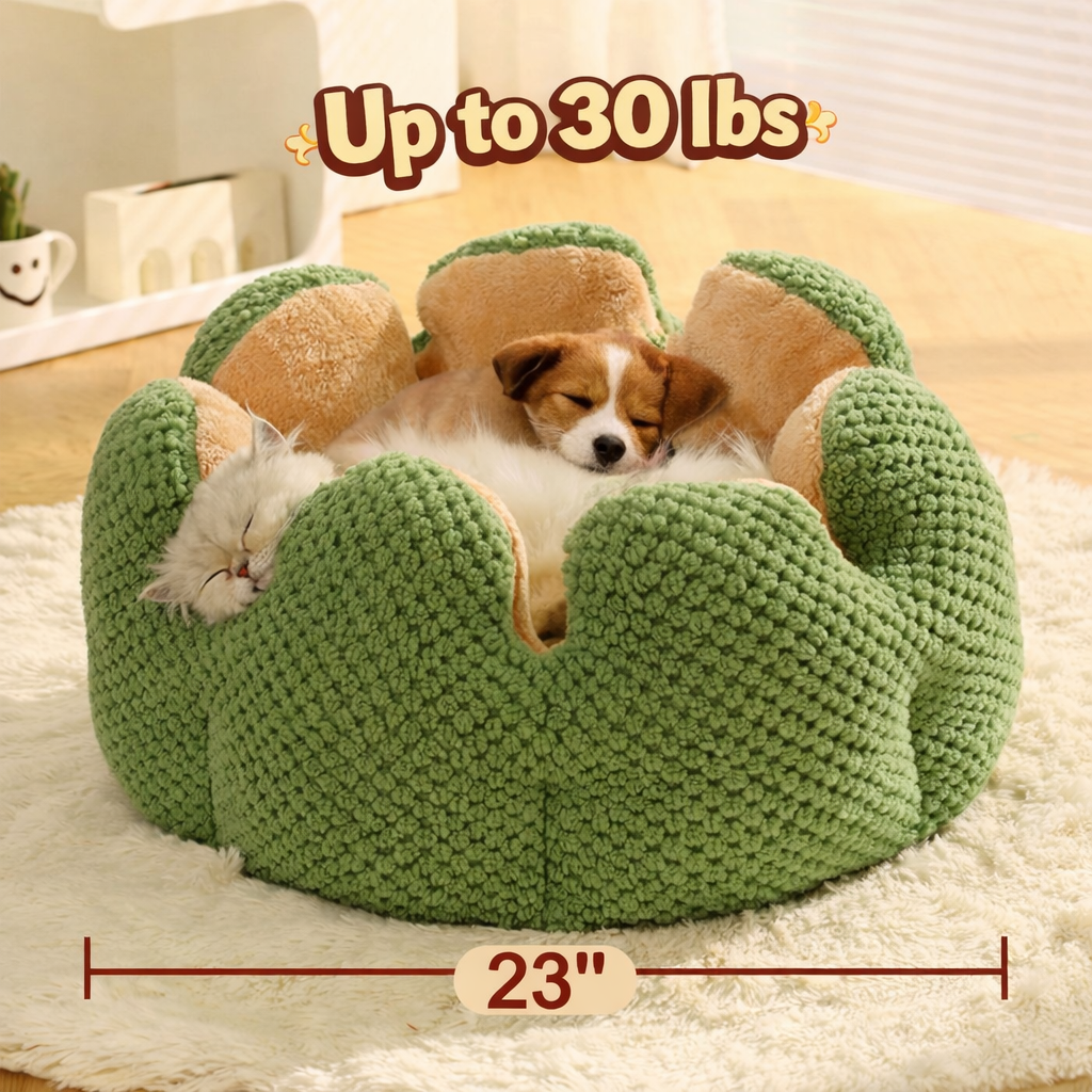 Cactus Bed